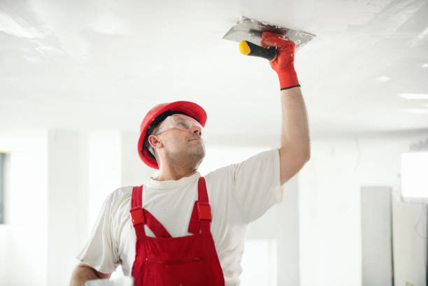 Best Basement Mold Removal  in Mcdonald, OH