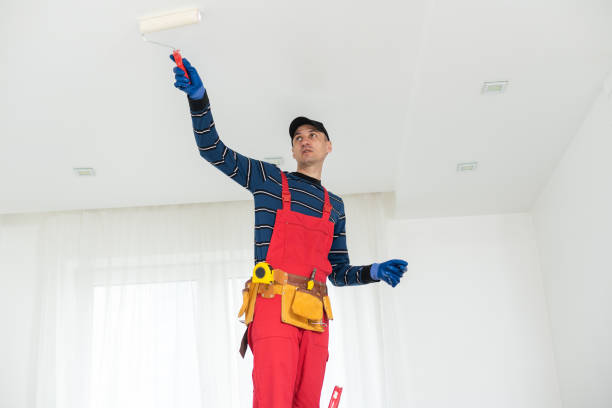 Best Biohazard Mold Removal  in Mcdonald, OH
