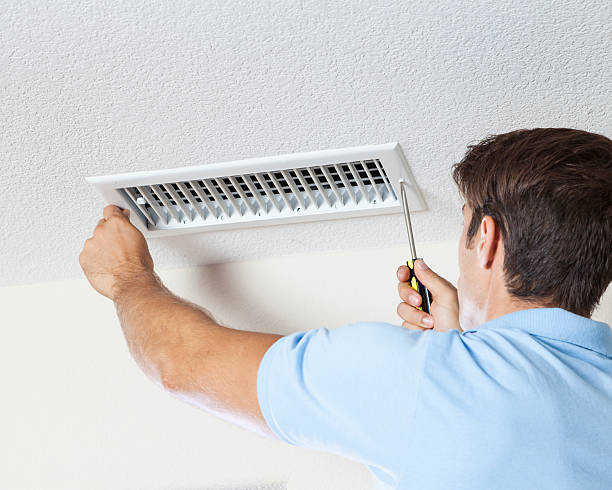 Reliable Mcdonald, OH Mold Removal Solutions